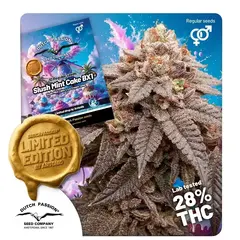 Slush Mint Cake BX1 Reg, Фасовка: 10